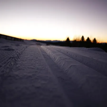 Designchalet Heidi Alm * Ebene Reichenau